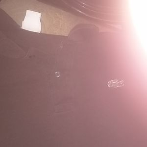 Brown Lacoste size l